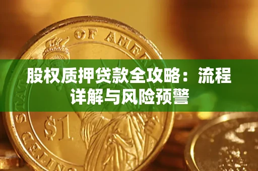 北京股权质押贷款全攻略：流程详解与风险预警