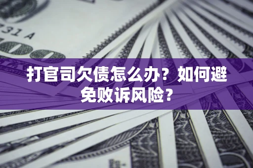 北京打官司欠债怎么办？如何避免败诉风险？