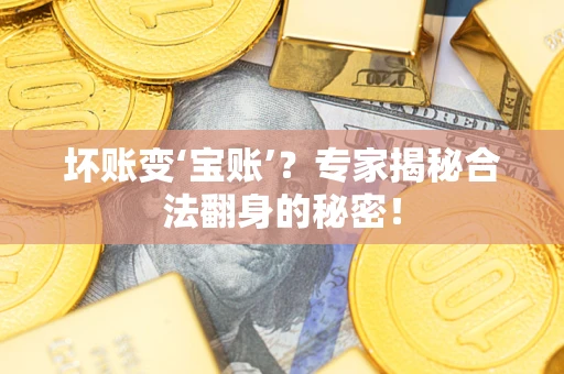 北京坏账变‘宝账’？专家揭秘合法翻身的秘密！