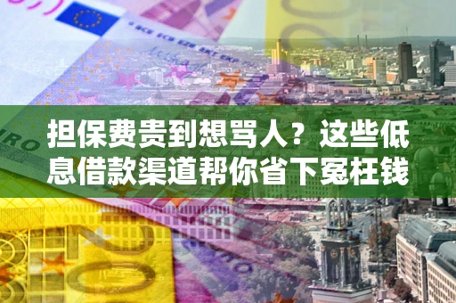 北京担保费贵到想骂人？这些低息借款渠道帮你省下冤枉钱