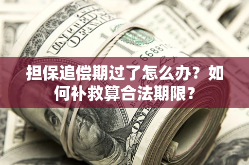 北京担保追偿期过了怎么办？如何补救算合法期限？