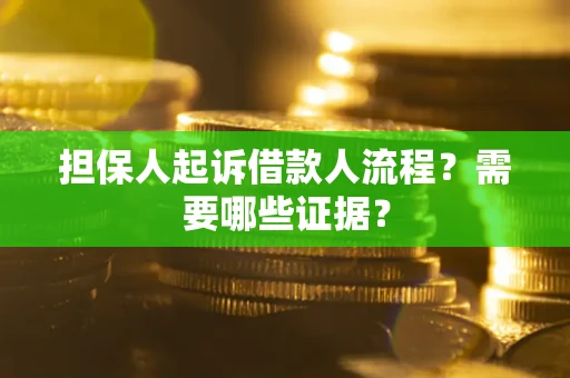 北京担保人起诉借款人流程?需要哪些证据? 北京担保人起诉借款人流程?需要哪些证据?