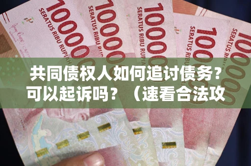 北京共同债权人如何追讨债务？可以起诉吗？（速看合法攻略）